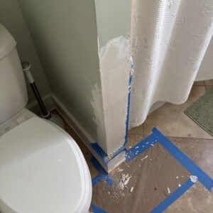 wall corner by toilet 1